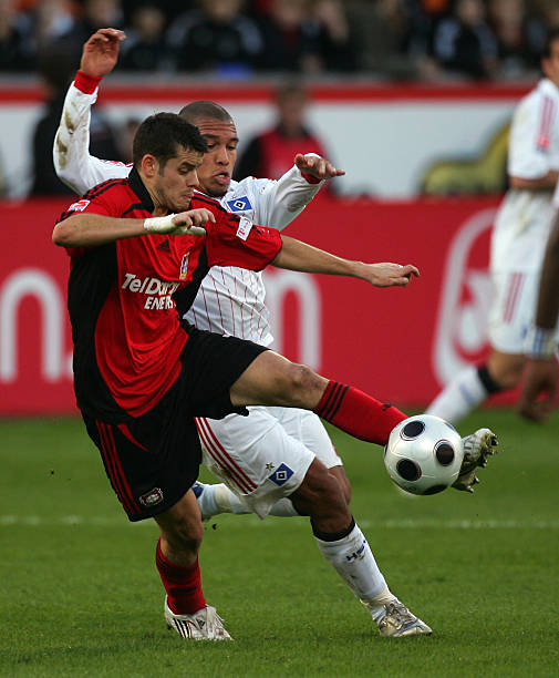 导致损失或 导致损失或