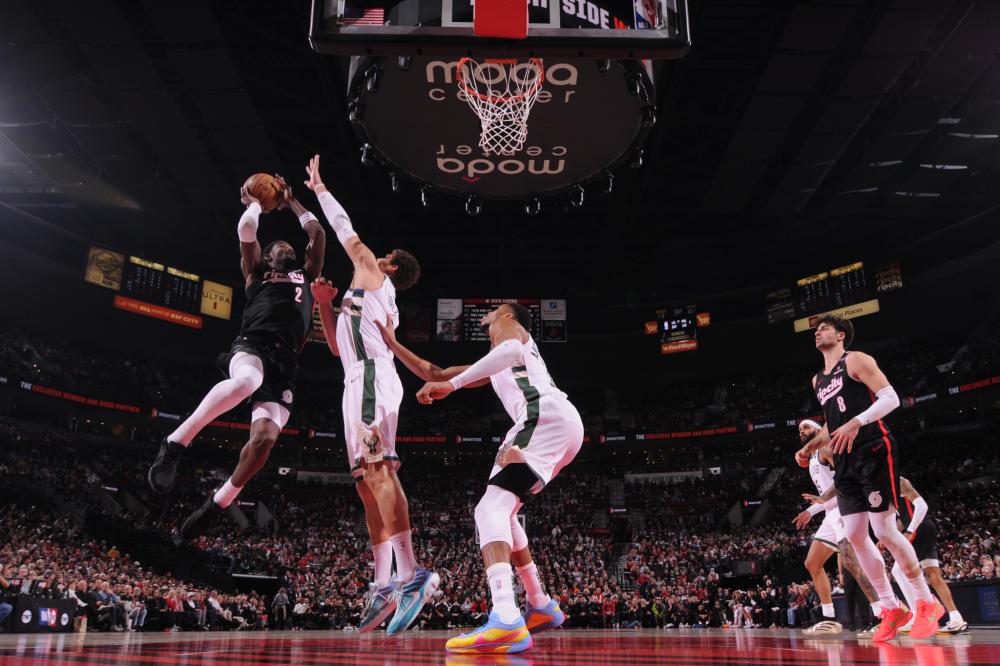 新秀与经验 新秀与经验