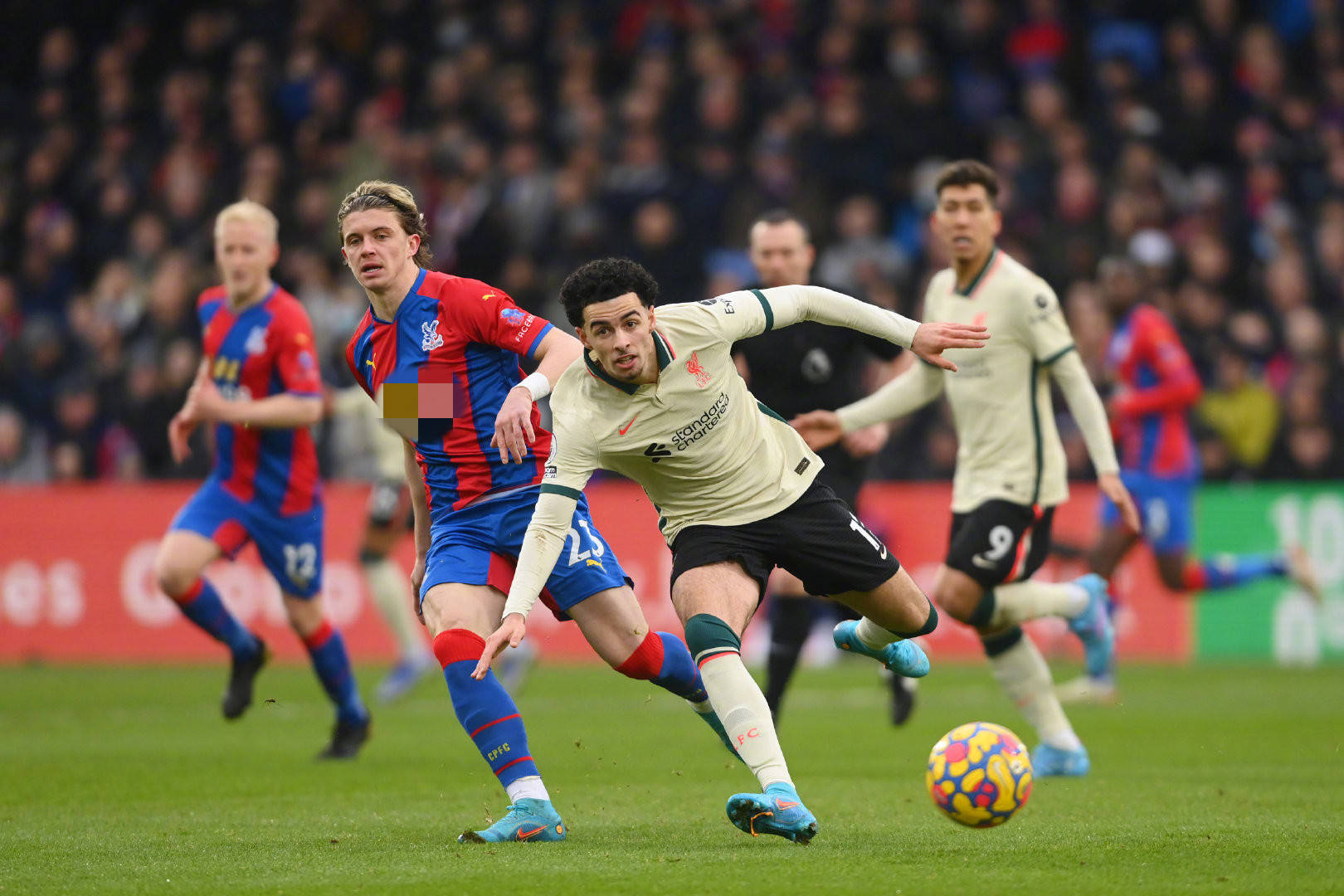 这样的举动 这样的举动